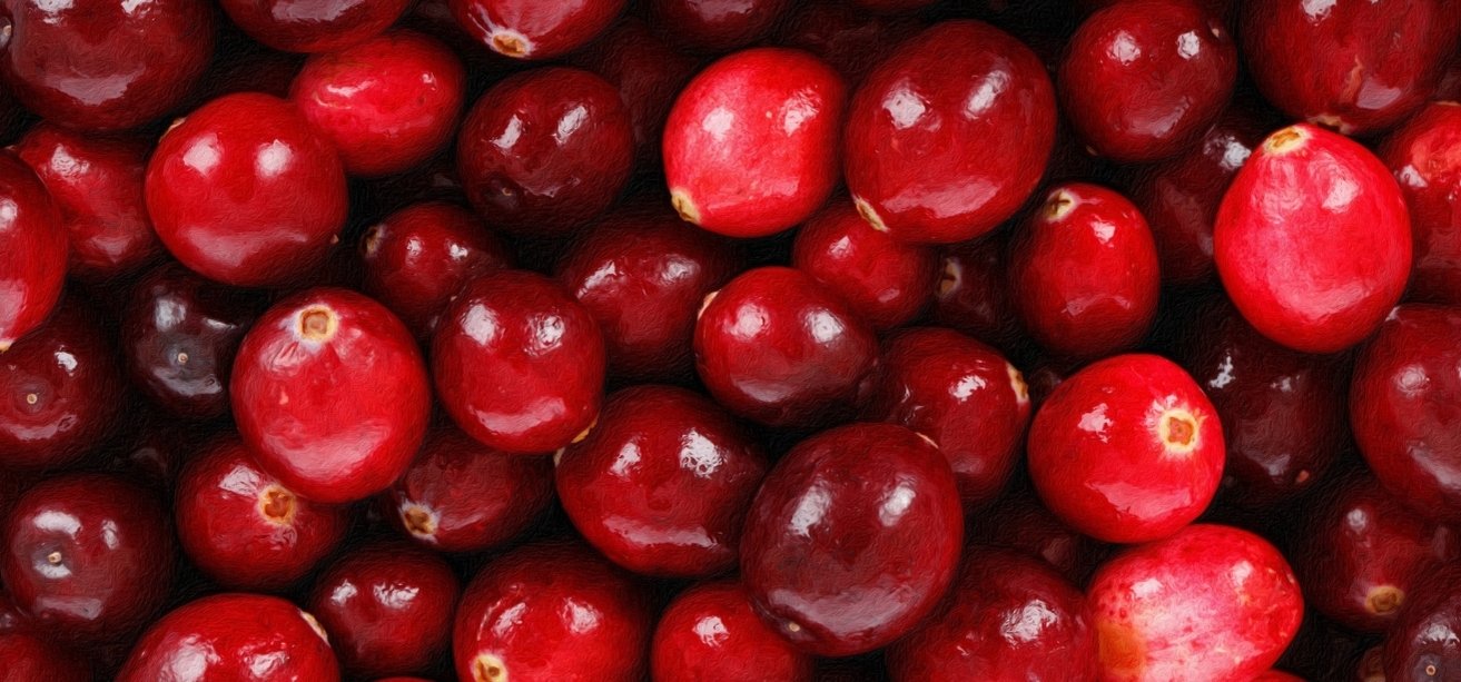 A close-up, top-down view filling the frame with glossy, fresh red cranberries.