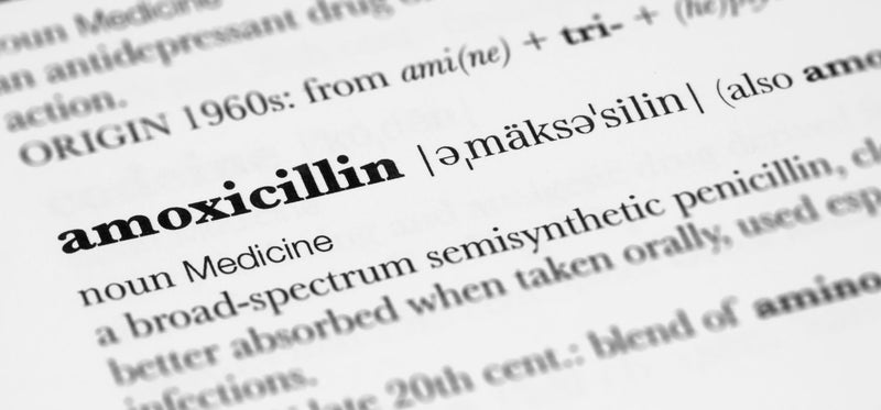 A close-up image of the dictionary definition for the antibiotic amoxicillin.