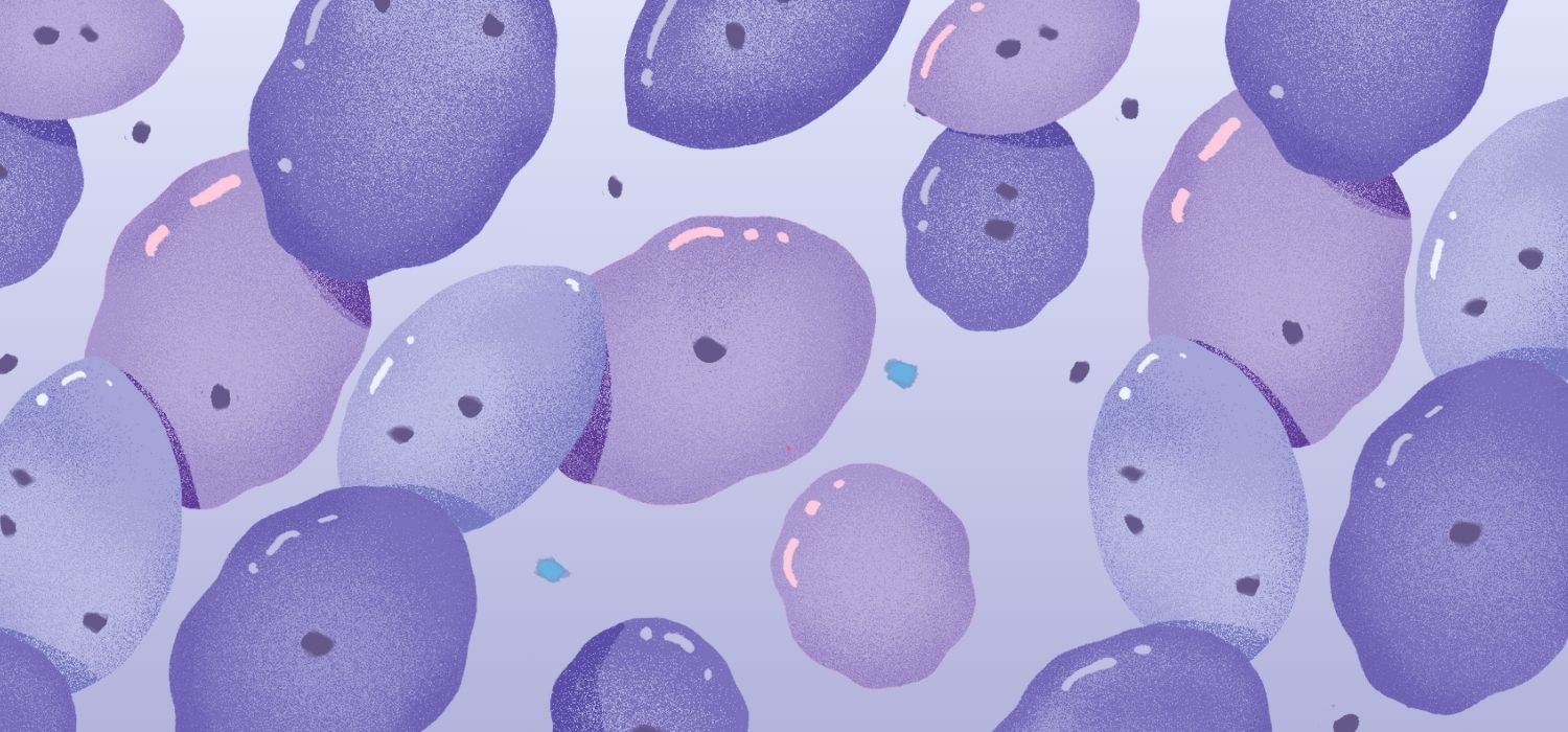 Close-up illustration of bacteria cells in shades of purple. The cells are textured with small dark spots and light highlights, depicting a microscopic view of a microbiome.
