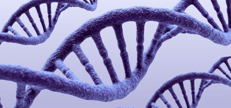 A close-up, 3D-rendered medical illustration of purple DNA double-helix strands on a light lavender background.
