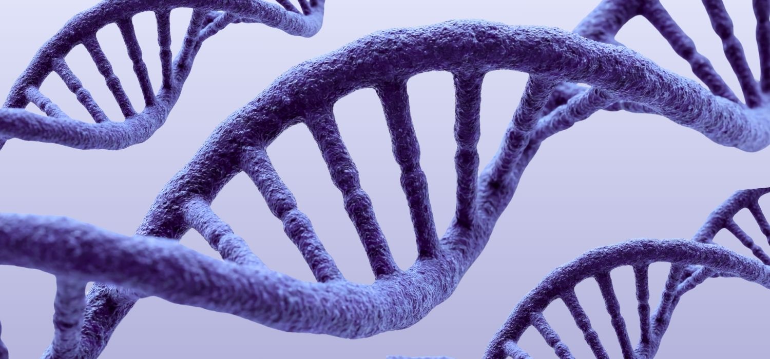 A close-up, 3D-rendered medical illustration of purple DNA double-helix strands on a light lavender background.