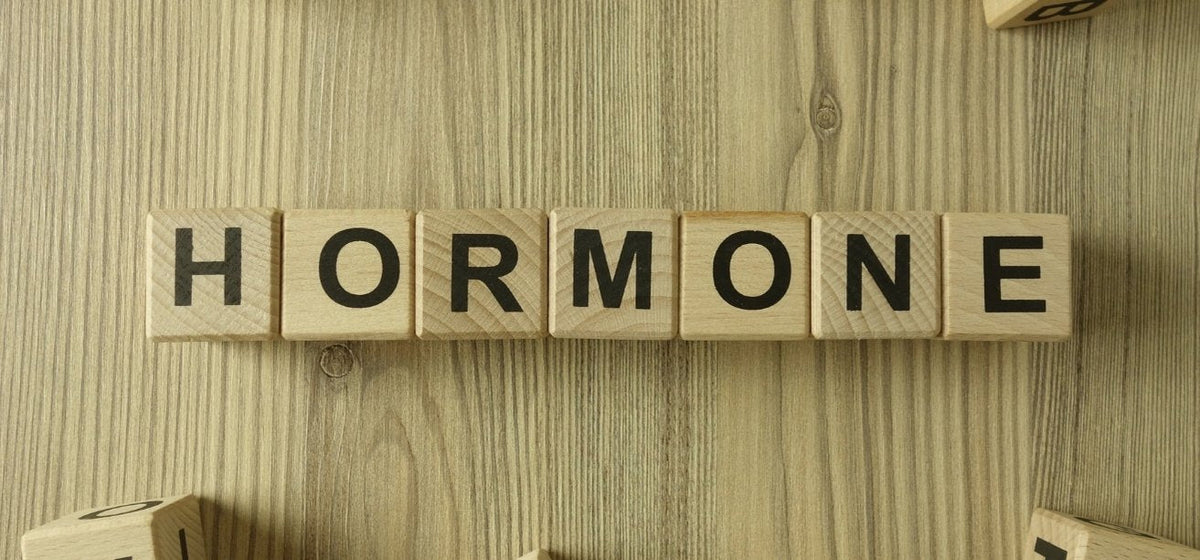 Wooden letter blocks spelling out the word "HORMONE" on a light wood background.