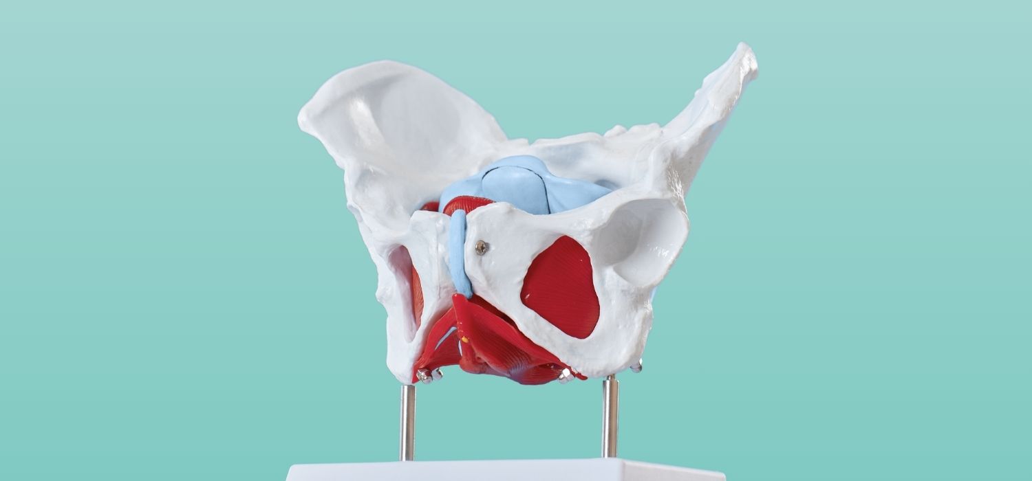 Pelvic Inflammatory Disease: What Every Woman Should Know