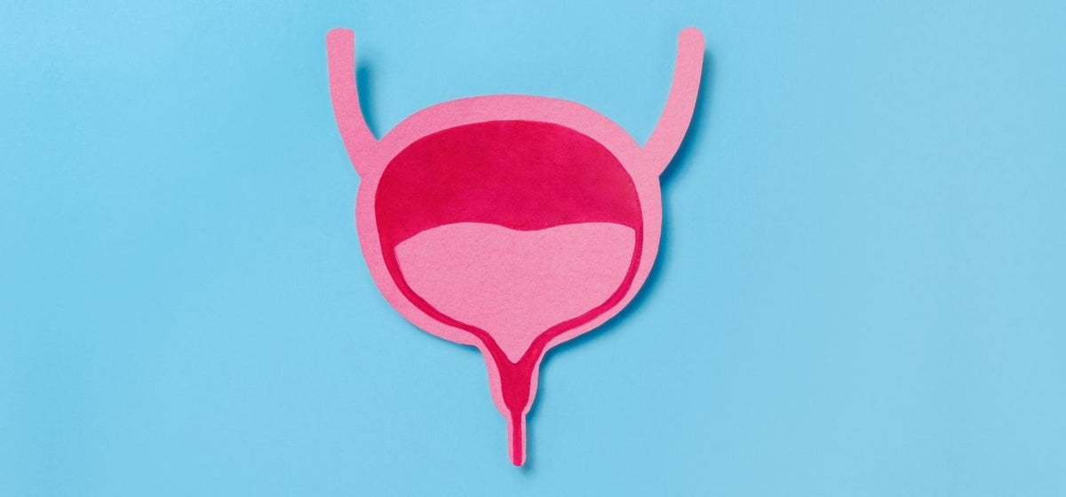 Stylized bladder illustration in pink and red shades on blue background.