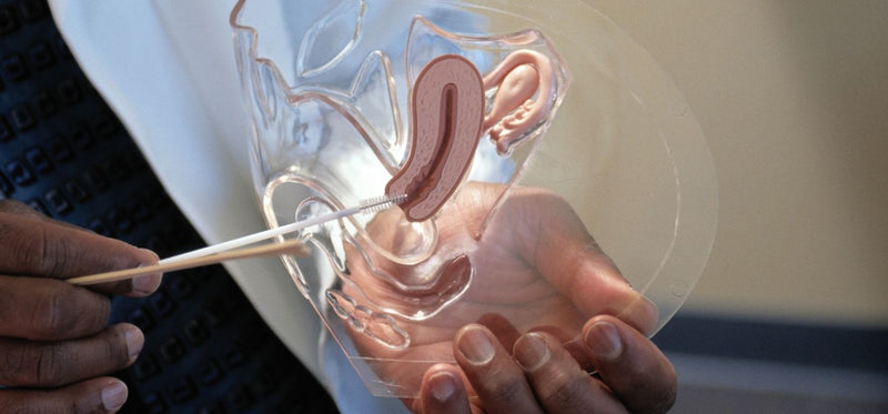 Vaginal Pain vs. Vulvar Pain: Understanding the Difference and Finding Relief