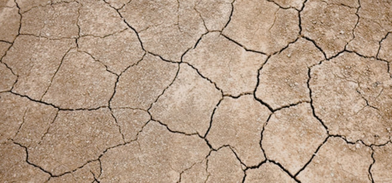 A close-up texture shot of dry, cracked, and parched brown earth.