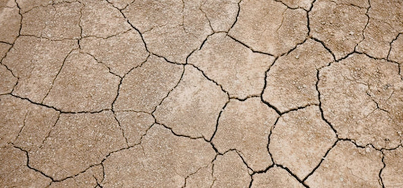 A close-up texture shot of dry, cracked, and parched brown earth.
