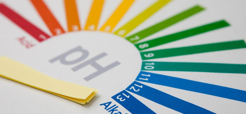 6 Natural Ways To Fix Your Vaginal pH Balance