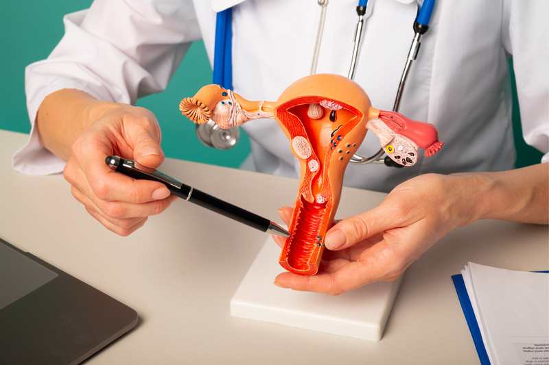 What Do Gynecologists Do, and What Should You Expect at Your First Gynecologist Appointment?