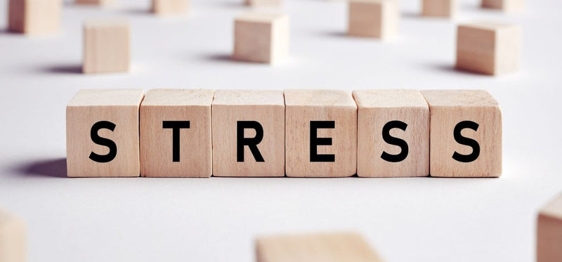 Wooden blocks spelling STRESS on a white surface with scattered blocks in the background, illustrating stress as a factor in bacterial vaginosis.