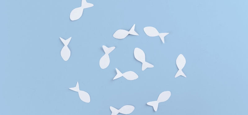 White paper fish cutouts arranged in a circular pattern on a light blue background