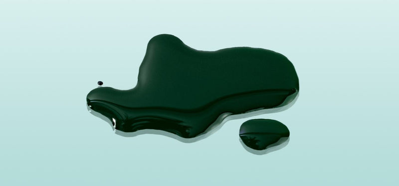 Is Liquid Chlorophyll Good for You? Here’s What We Know