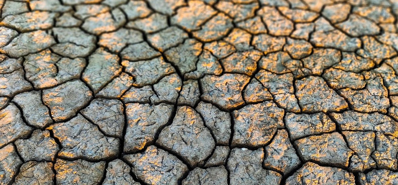 Cracked, dry earth with deep fissures showing severe desiccation and drought conditions.
