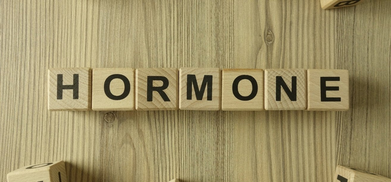 Wooden letter blocks spelling out the word "HORMONE" on a light wood background.