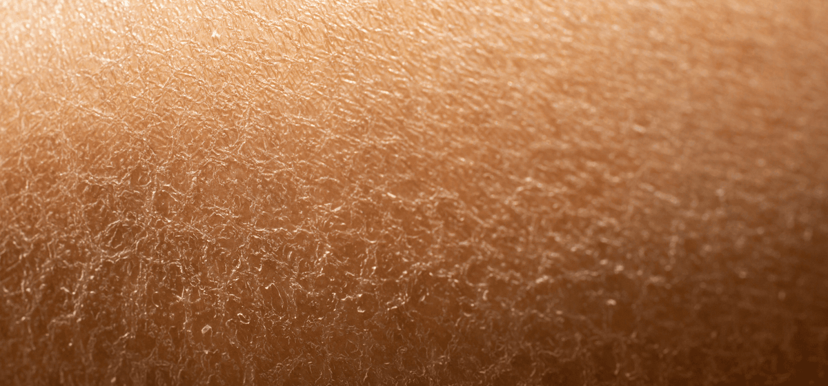 Postmenopausal Skin & Vaginal Aging: Why They're More Connected Than You Think