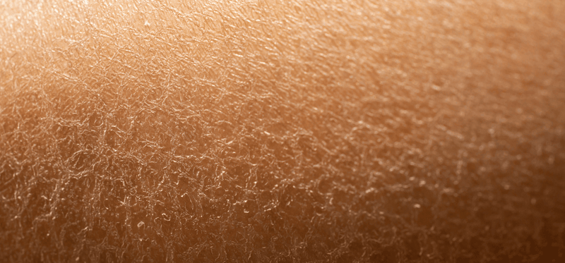 Postmenopausal Skin & Vaginal Aging: Why They're More Connected Than You Think