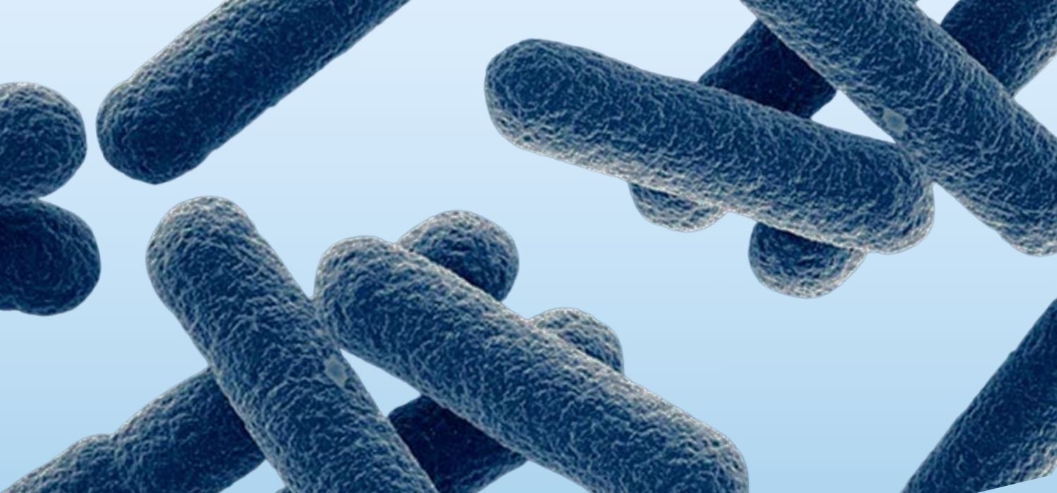 A 3D rendered image of a microscopic view of the atopobium vaginae bacteria.