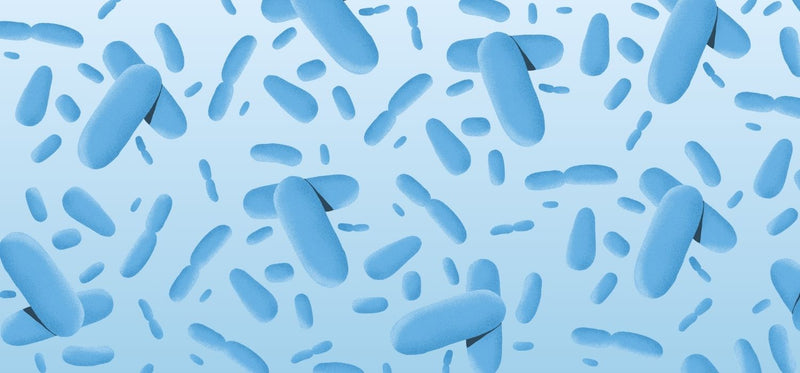 A digital illustration of blue probiotic pills on a light blue background.