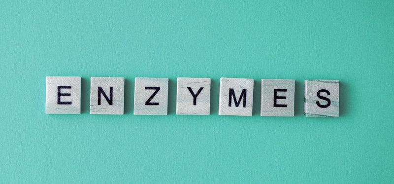 The word "ENZYMES" spelled out using light grey, square letter tiles on a solid teal background.