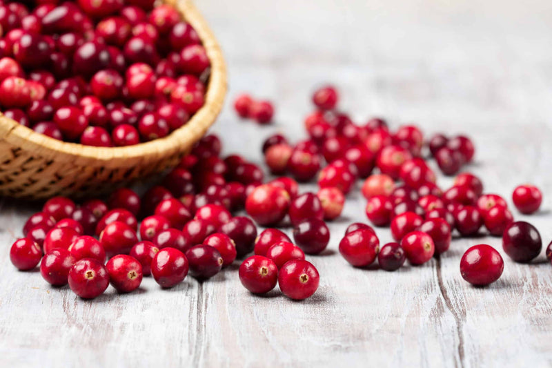 Your Guide to Cranberry for UTI Management