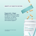 Digestive Enzymes